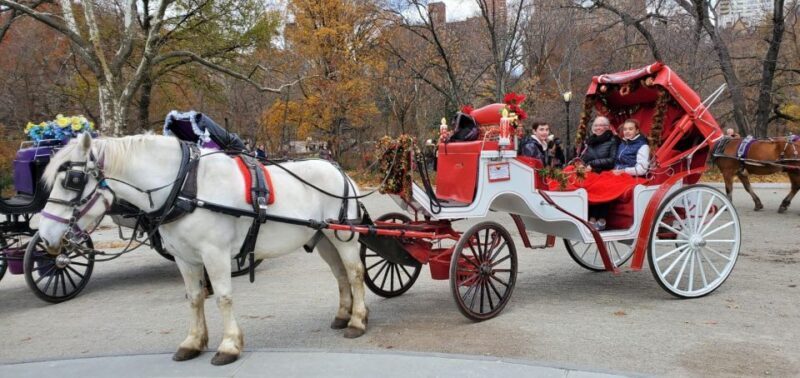 NYC: Private Christmas Lights Horse Carriage Ride - Practical Details: Pricing, Duration, and Booking