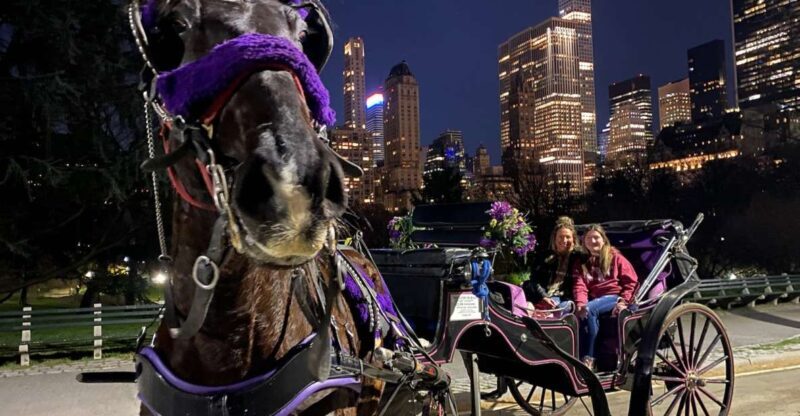NYC: Private Christmas Lights Horse Carriage Ride - What to Keep in Mind