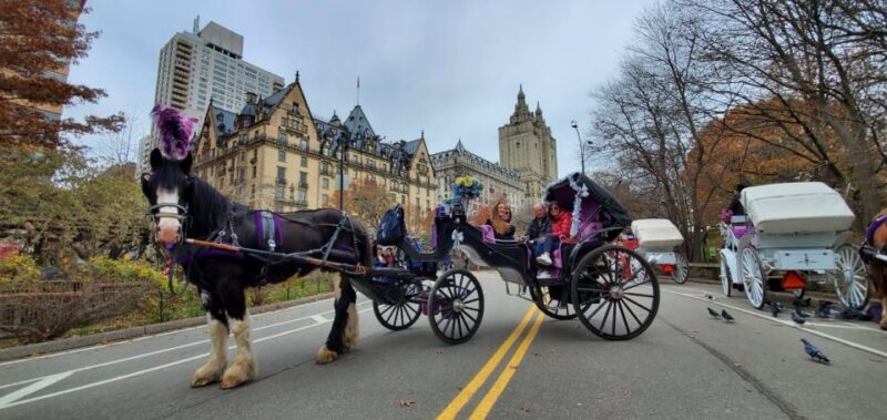 NYC: Private Christmas Lights Horse Carriage Ride - Final Thoughts