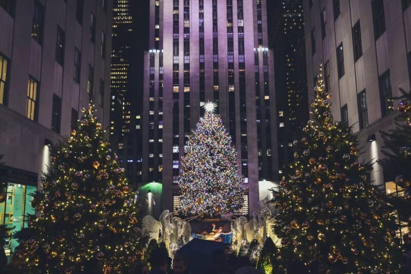 NYC: Private Dyker Heights and NYC Holiday Lights Tour - Who Should Consider This Tour?