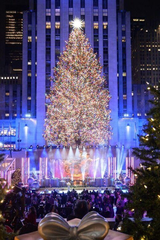 NYC: Private Dyker Heights and NYC Holiday Lights Tour - Final Thoughts