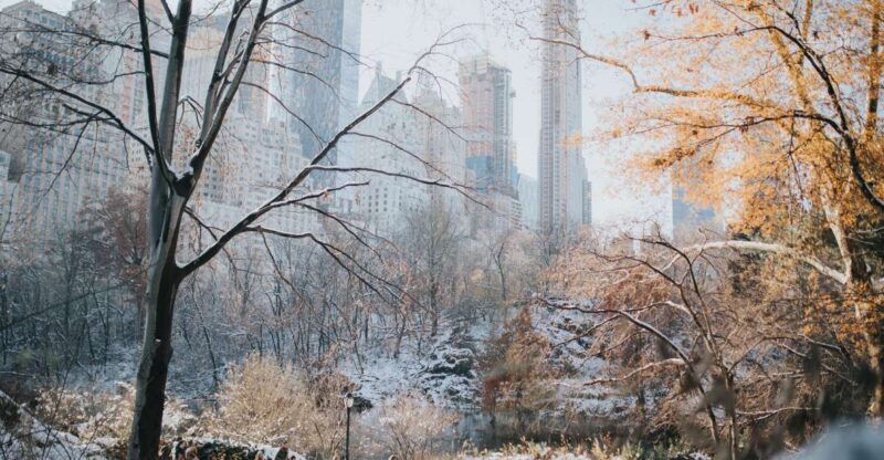 nyc-private-walking-tour-with-professional-guide