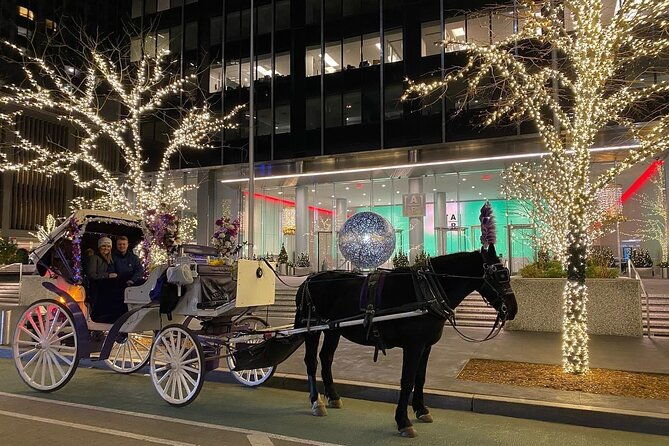 nyc-rockefeller-center-christmas-lights-horse-carriage-ride