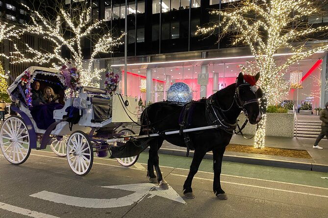 nyc-rockefeller-center-christmas-lights-horse-carriage-ride