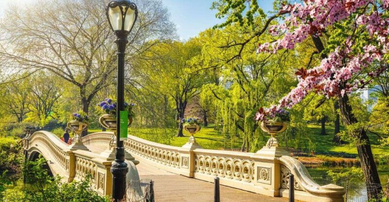 nyc-sightseeing-day-trip-with-statue-of-liberty-visit-2