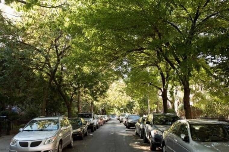 nyc-soho-little-italy-and-chinatown-private-walking-tour