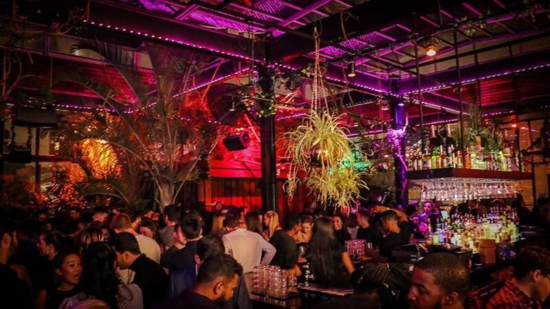 NYC West Village Pub Crawl Experience - The Entertainment and Social Aspects