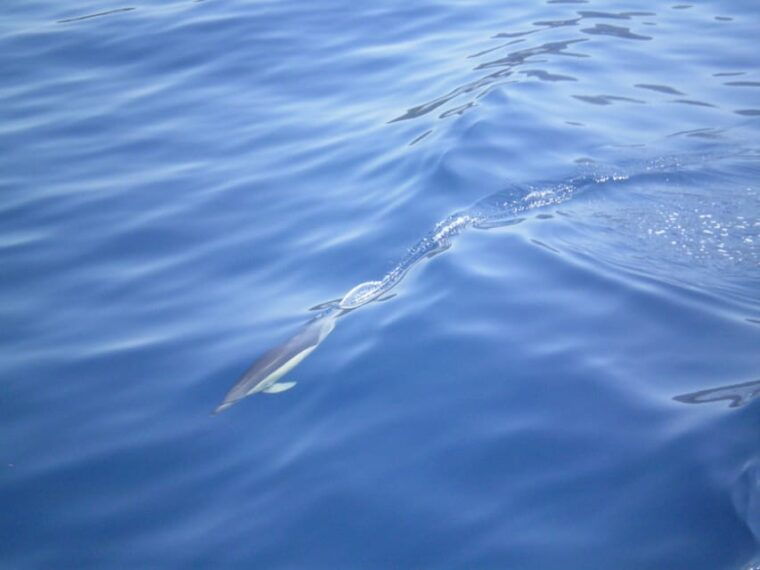 nydri-wooden-boat-cruise-to-meganisi-scorpio-lefkada