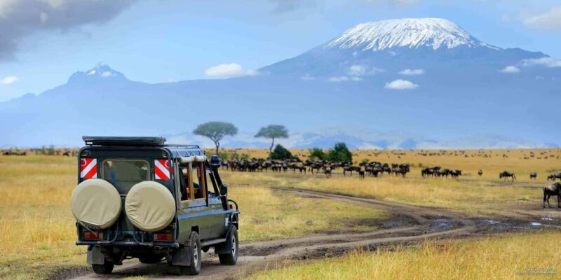 Nyerere National Park: 2-Day Safari Adventure - Key Points
