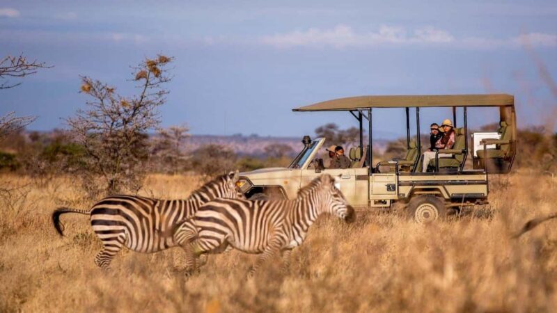 Nyerere National Park: Day Flying Safari from Zanzibar - Key Points