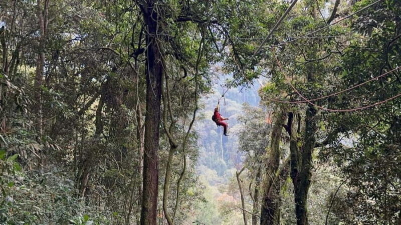 Nyungwe Forest: Zipline Adventure and Canopy Walkway - Authentic Experiences and Hidden Gems