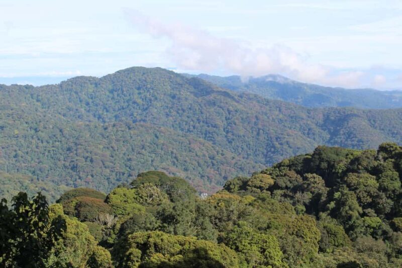 NYUNGWE: Nyungwe National Park Canopy Walk - Exploring Nyungwe’s Highlights in Detail