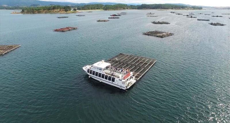 O Grove: Boat Tour with Mussel Tasting and Wine - Value and Practical Details