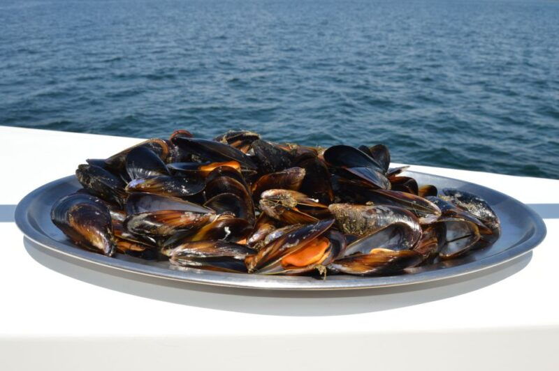 o-grove-ria-de-arousa-catamaran-tour-with-seafood-lunch