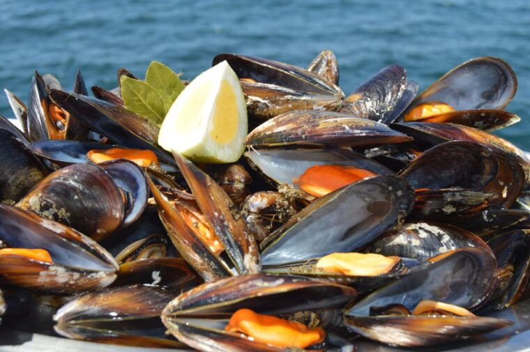 o-grove-ria-de-arousa-catamaran-tour-with-seafood-lunch