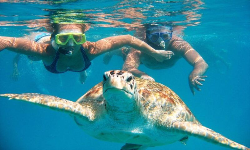 oahu-16-point-guided-circle-tour-with-snorkeling-and-dole