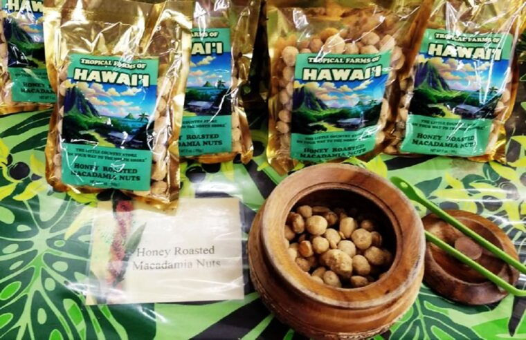 oahu-16-point-guided-circle-tour-with-snorkeling-and-dole