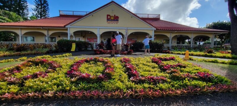 Oahu: 5 Hour Exclusive Car & Driver - ETOHI - Who Is This Tour Best For?