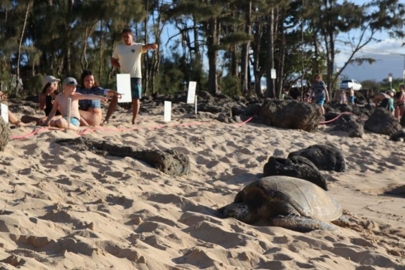 oahu-active-circle-island-tour