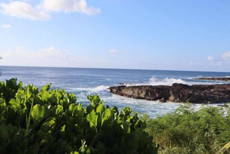oahu-active-circle-island-tour
