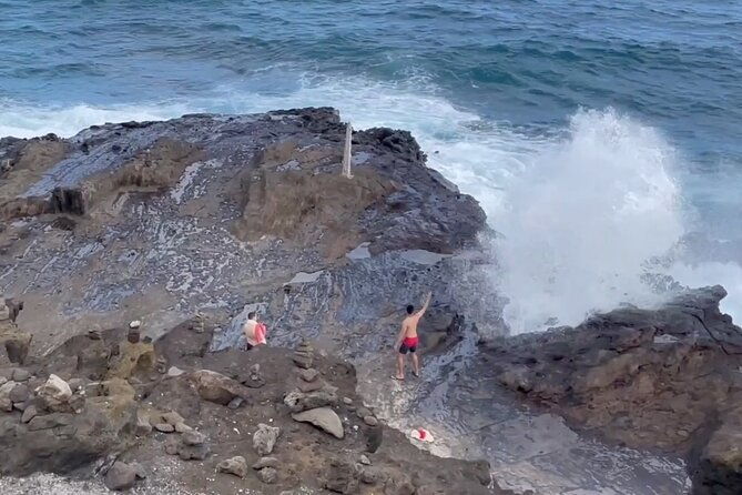 oahu-allstar-circle-island-tour-dole-turtles-blowhole-fun