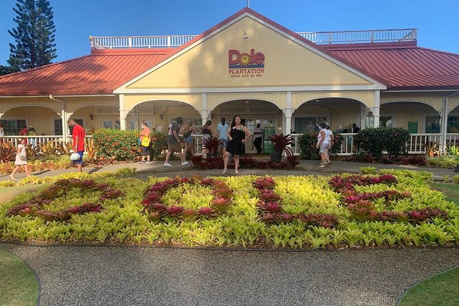 oahu-allstar-circle-island-tour-dole-turtles-blowhole-fun