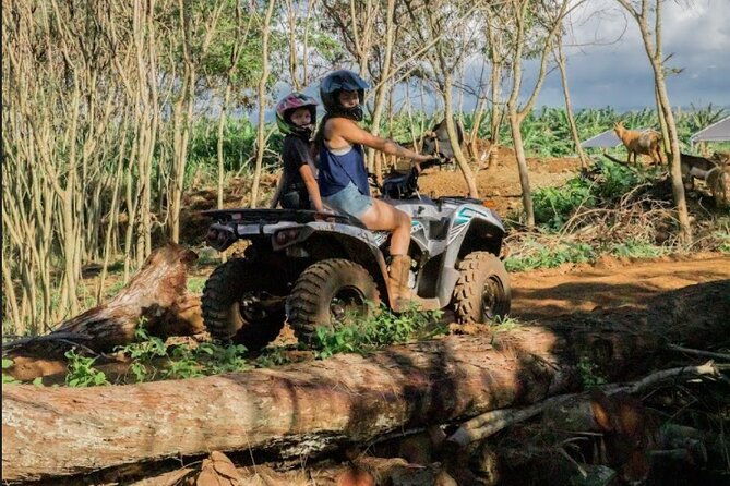oahu-beachfront-atv-adventure-and-farm-tour