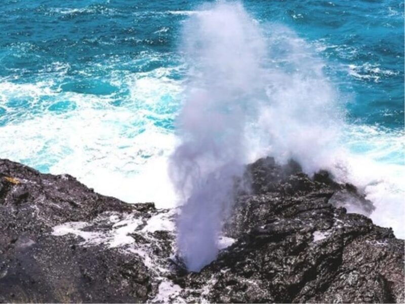 oahu-circle-island-tour-with-byodo-in-temple-admission