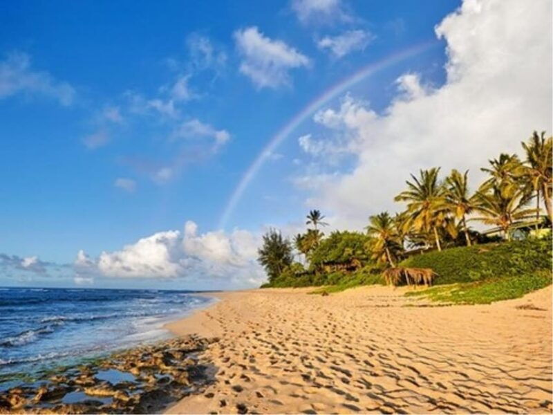oahu-circle-island-tour-with-byodo-in-temple-admission