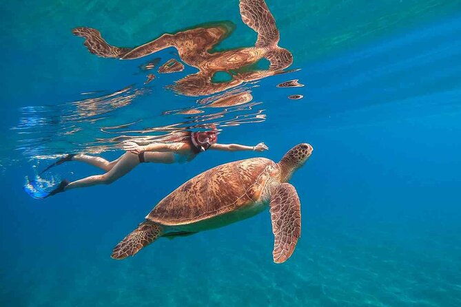 oahu-coastline-cruise-turtle-snorkeling-and-jumping-platform-2