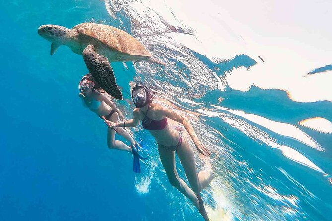 oahu-coastline-cruise-turtle-snorkeling-and-jumping-platform