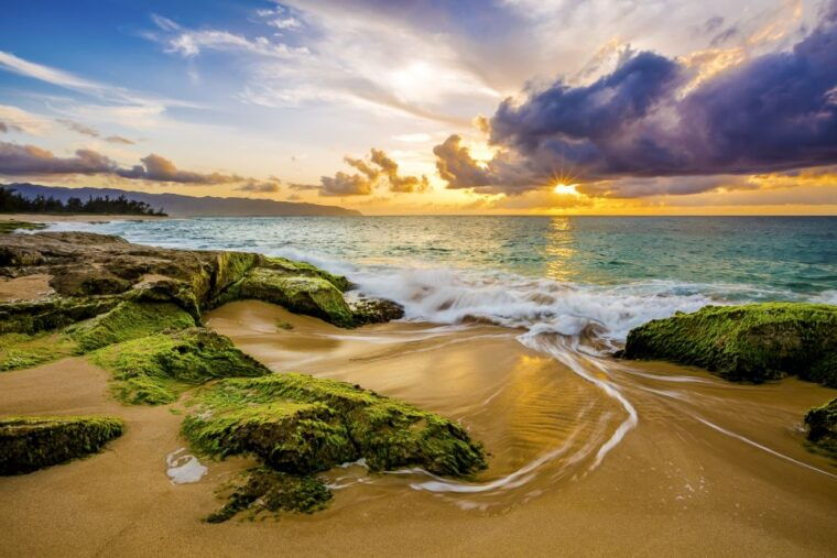 oahu-complete-island-tour-with-tropical-waterfall-swimming