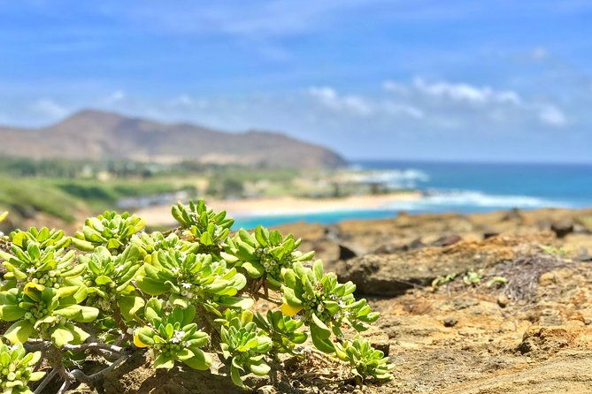 oahu-custom-private-circle-island-and-mini-circle-island-tours