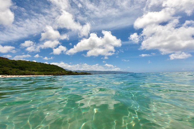 oahu-custom-private-circle-island-and-mini-circle-island-tours