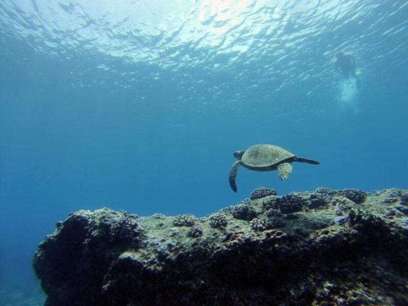 oahu-custom-private-island-tour-of-oahu