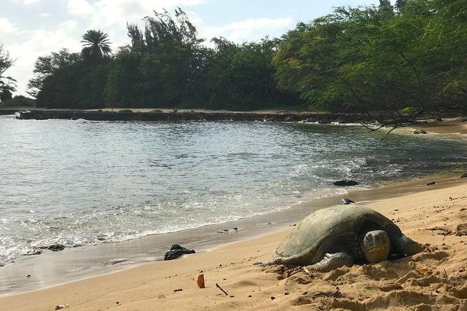 oahu-customizable-private-community-service-voluntourism-offer