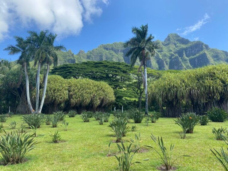 oahu-diamond-head-crater-hike-and-north-shore-experience