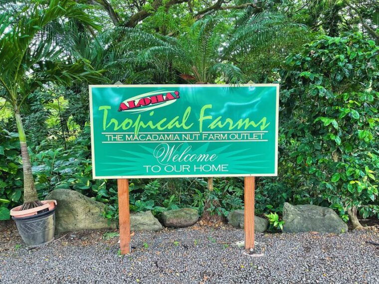 oahu-diamond-head-crater-hike-and-north-shore-experience