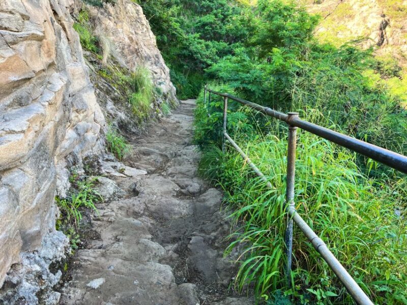 Oahu: Diamond Head Crater Trailhead Transfer & Entry Fee - Who Should Consider This Tour?