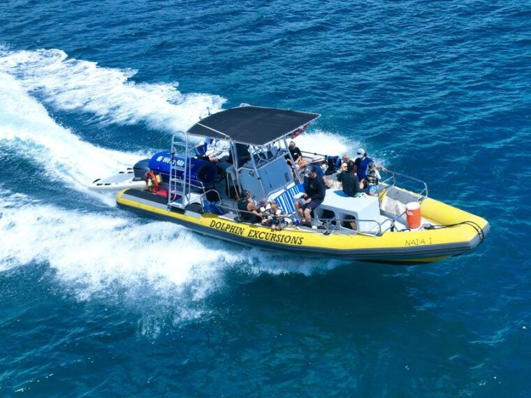 oahu-dolphin-swim-and-turtle-snorkel-excursion-in-waianae