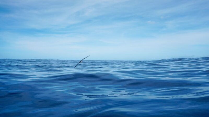 oahu-dolphin-watch-turtle-snorkel-waterslide-activities