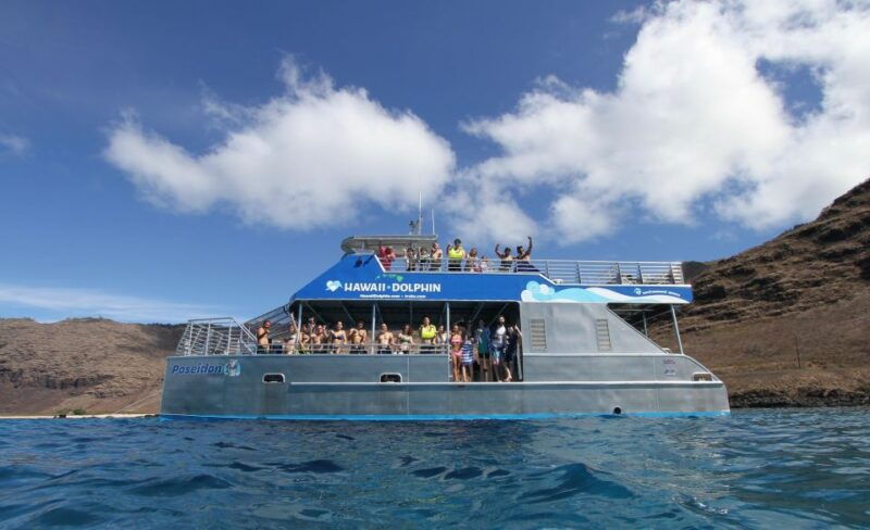 oahu-dolphin-watch-turtle-snorkel-waterslide-activities
