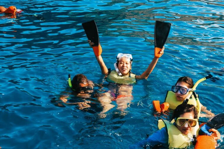 oahu-dolphin-watch-turtle-snorkel-waterslide-activities