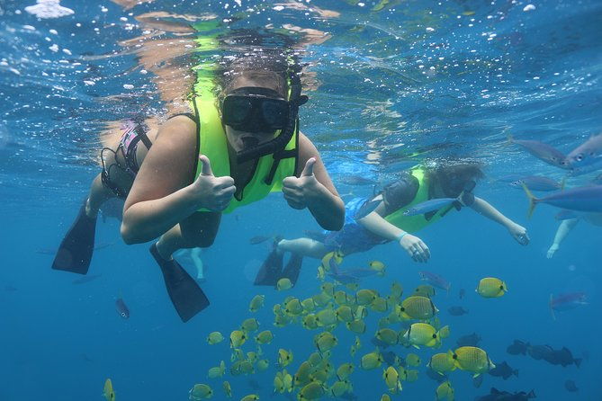 oahu-dolphin-watch-with-turtle-snorkel-water-slide