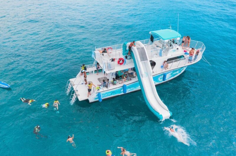 Oahu: Dolphin Watching & Turtle Snorkeling with Waterslide - Oahu: Dolphin Watching & Turtle Snorkeling with Waterslide — A Deep Dive into a Unique Hawaiian Adventure