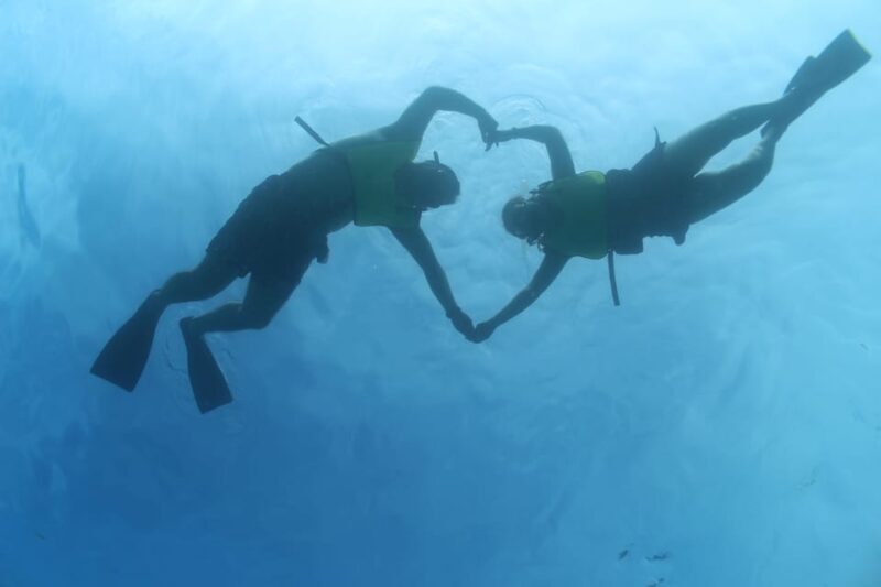 Oahu: Dolphin Watching & Turtle Snorkeling with Waterslide - Final Thoughts