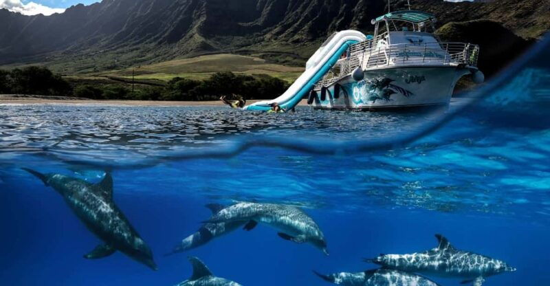 oahu-dolphin-watching-turtle-snorkeling-with-waterslide