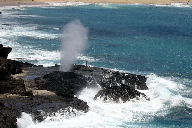 oahu-east-coast-to-mountain-slingshot-tour
