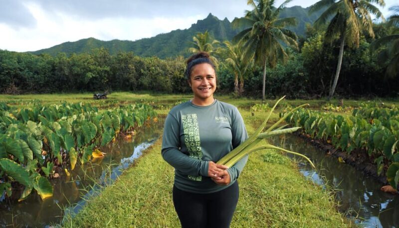 Oahu Explorer Pass: Save up to 50% - Includes Pearl Harbor - Who should consider this pass?