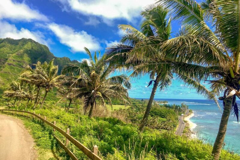 oahu-full-day-circle-island-tour-top-sights-local-guide